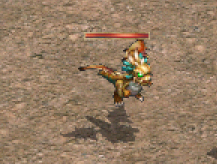 小金龍.png