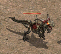 3等寵物.png